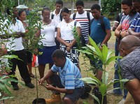 Formation Seychelles Pépinière FULL