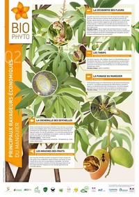 2_pdfsam_posters_BD2(1)