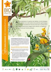 3_pdfsam_posters_BD2(1)