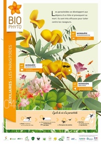 4_pdfsam_posters_BD2(1)