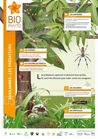 5_pdfsam_posters_BD2(1)