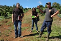 CUQP Gamour 2013 (1)