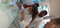 Elisa9