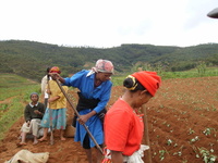 Femmes rurales malagasy