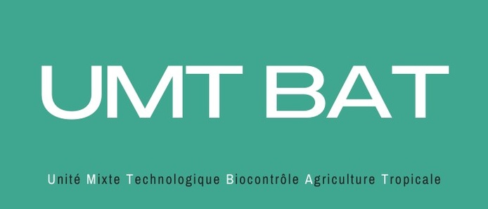 logoumtbat