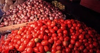tomates
