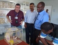 Visite du laboratoire d'entomologie du Ministère de l'agro-industrie