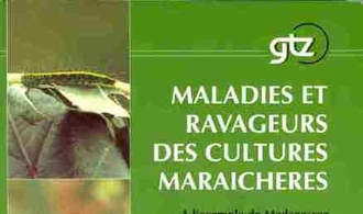 Maladies et ravageurs des cultures maraîchères à Madagascar