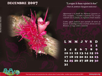 Décembre