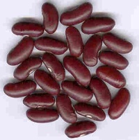Variété de haricot rouge pour l'exportation
