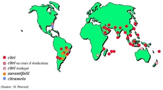 Carte de répartition mondiale du chancre (O. Pruvost)