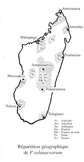Carte Le flétrissement bactérien de la tomate