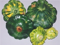 DégÃ¢ts sur pÃ¢tissons