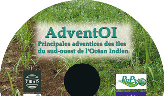 CD-rom AdventOI