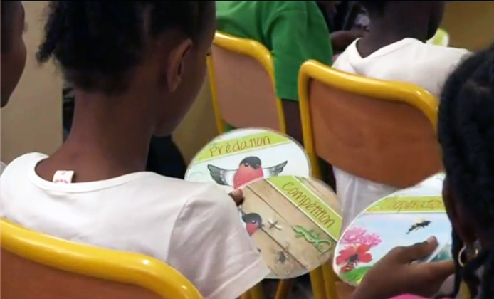 Atelier "Dans mon jardin il y a..." aux Comores