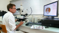  Antoine Franck at work in the optical room at the Plant Protection Platform © Cirad - Shannti Dinnoo