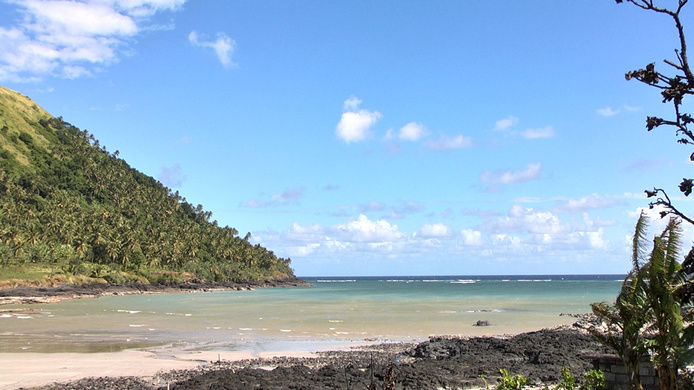 Beach and coconut grove © Cirad - Shannti DINNOO