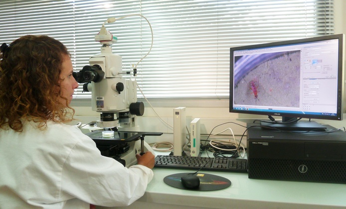 Ingénieure du Cirad en salle d'optique