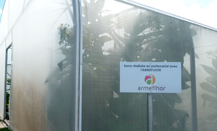 La Coccinelle greenhouse, built in partnership with the Armeflhor © Cirad - Shannti Dinnoo