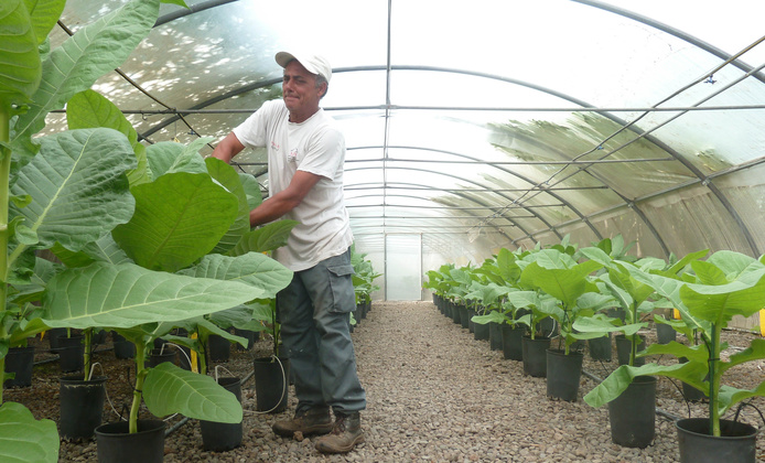Serre de La Coccinelle