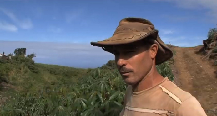 De la recherche pour le manioc [Terres d'ici - Antenne Réunion] Reportage autour de l'atelier international de surveillance des maladies du manioc en Afrique.