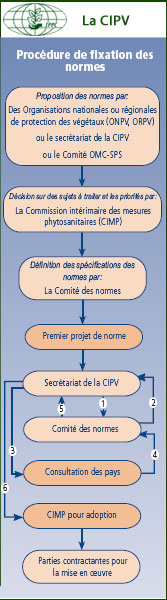 Procédure de fixation des normes phytosanitaires - CIPV