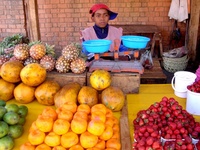Les filières horticoles à Madagascar en bref