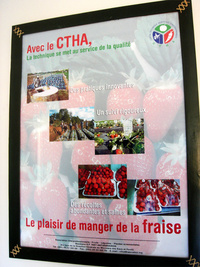 Affiche CTHA
