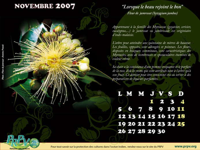 Novembre