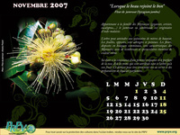 Novembre