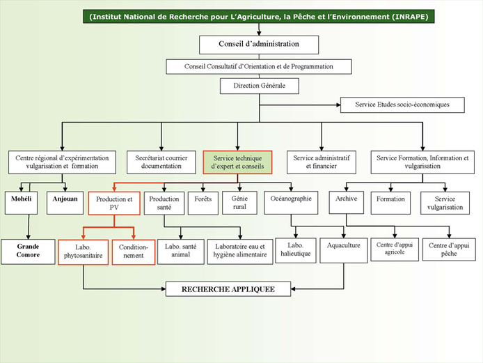 Organigramme de l'INRAPE