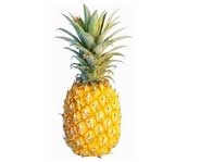 Organismes nuisibles sur cultures fruitières à la Réunion