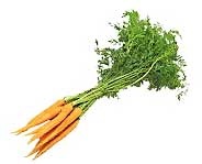 Organismes nuisibles sur cultures maraîchères aux Comores