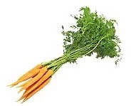 Organismes nuisibles sur cultures maraîchères aux Comores