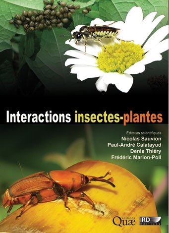 Interactions insectes-plantes