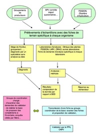 Projet d'organisation du réseau BDD Réunion.