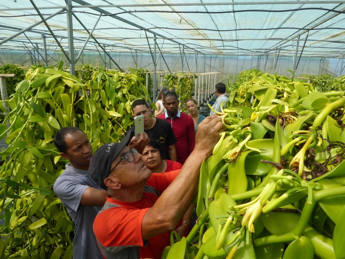 Formation vanillier nov2019 - bassin plat