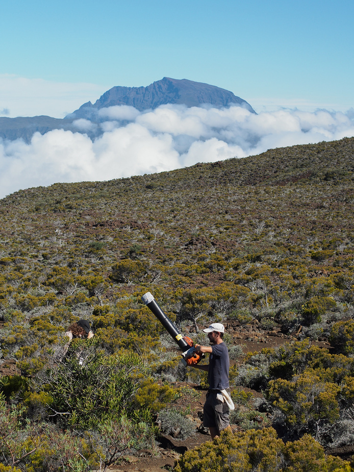 Le volcan est l'un des sites choisis pour l'étude
