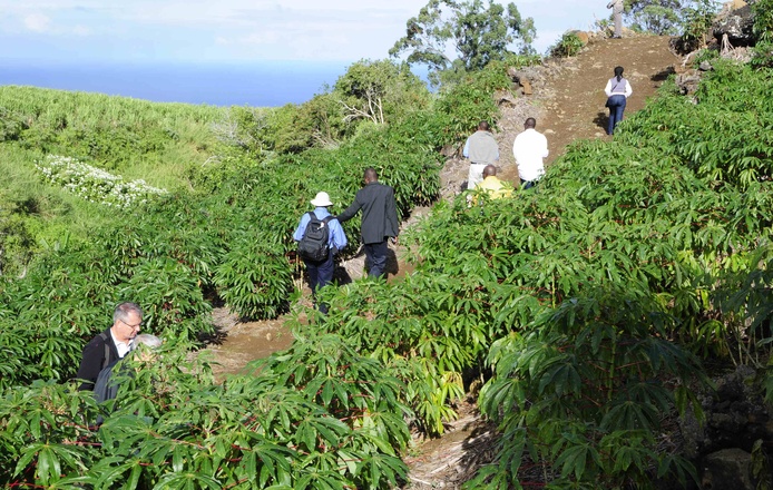 Photo Groupe Parcelle Manioc