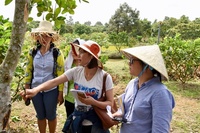 Field trip during the International Scientist School in Can Tho, Vietnam, Mar 2018 © Philippe Cao Van (Cirad)
