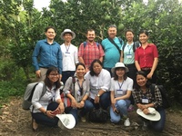 Field trip in a citrus orchard during the Regional Workshop in My Tho, Vietnam, Aug 2017 © Philippe Cao Van (Cirad)