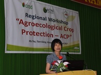 Speaker at the Regional Workshop in My Tho, Vietnam, Aug 2017 © Philippe Cao Van (Cirad)