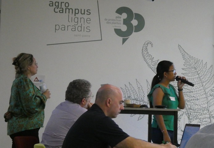 présentation mirana gauche