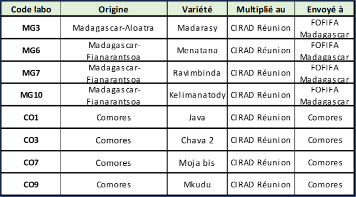 Liste variétés élites de manioc prioritaires