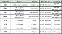 Liste variétés élites de manioc prioritaires