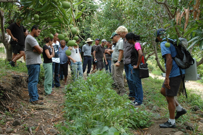 Formation sur le terrain