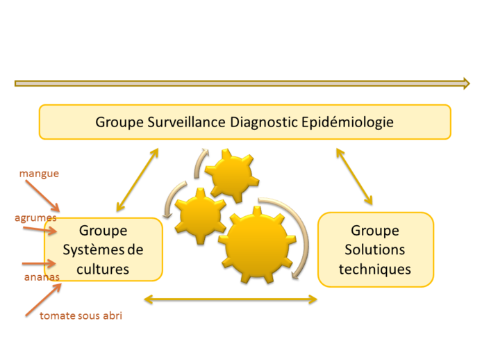 Organisation et animation UMT SPAT