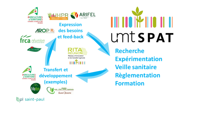 UMT SPAT dans RITA