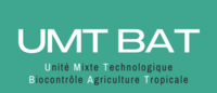 Logo UMT BAT 