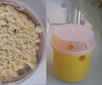 piege